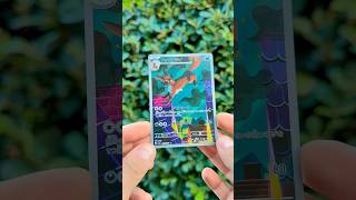 Thievul Art Rare at “GypsyKingCollects The World Tour”✨#pokemoncards #gypsykingcollects