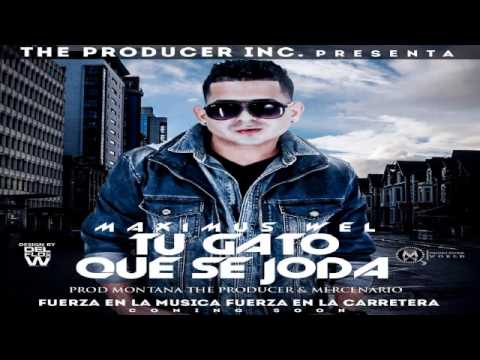 Maximus Wel - Tu Gato Que Se Joda ✓