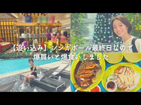芸術・表現行動学科 【チャンギ空港】ジュエルレビュー！プライオリティパスでラウンジ利用！シンガポールvlog(オーチャードで爆買い)