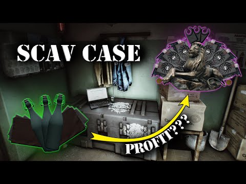 EFT Scav Case 28/1000