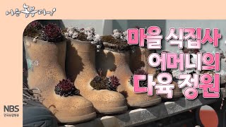 [나는농부다 294회] 마을 식집사 어머니의 다육 정원