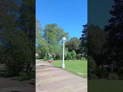Plaza Central de Segui. Departamento Parana. Entre Rios. Parte 21