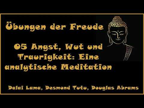 Übungen der Freude 05 Angst, Wut und Traurigkeit: Eine analytische Meditation