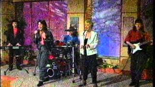 Thief Of Hearts On RTE's "Live At Three"