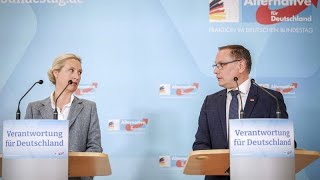 Germania, gli scandali sulle interferenze russe e cinesi scuotono l'Afd: critiche al Bundestag