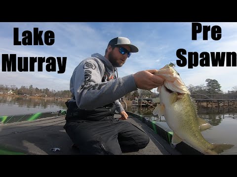 Lake Murray: The Pre-Spawn Bite is ON
