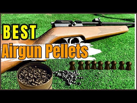 7 Best Airgun Pellets For Hunting Big And Small Game 2024