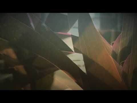 Vladimir Kurumilian - Spread [One Minute Music Video] (2018)