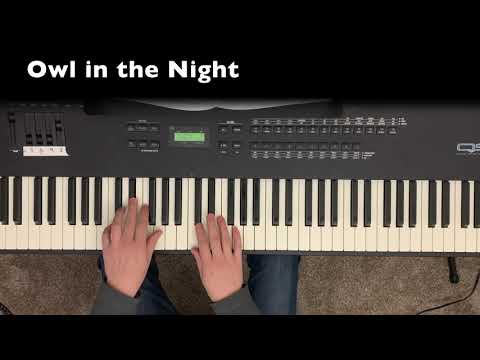 Owl in the Night - The Bean Bag Zoo, Vol. 1