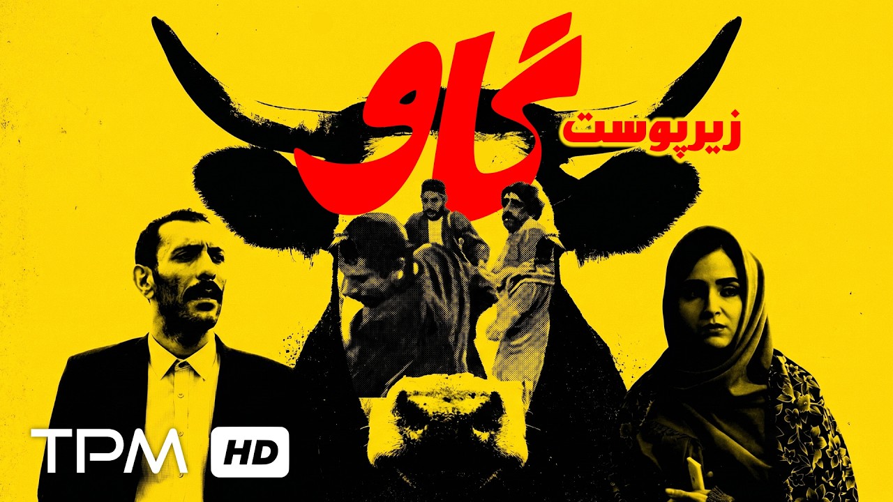 فیلم جدید زیر پوست گاو با داستانی جذاب از اتفاقات اجتماعی😲