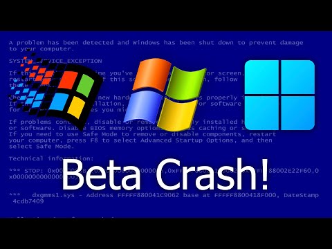 Crashing Windows Beta Versions!