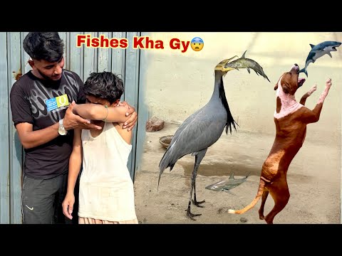 SUBSCRIBE TO SHArk🦈 TO READ MORE😨