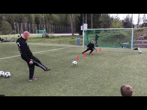 Målvaktsträning Visätra IP