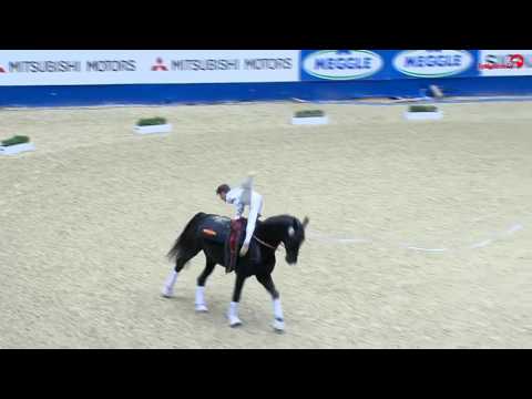 Jannik Heiland | Rockard H | Warm up | Signal Iduna Cup Dortmund 2017