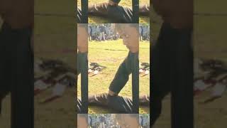 Download lagu Rogo sukmo#shorts #kesenian #reog mp3