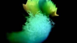 Yann Tiersen - Comptine D"Un Autre Ete L"Apres Midi (neu arrangiert)