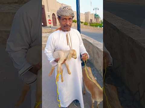 new video #عمان #اكسبلور #لايك #farming #ترند #اكلتك #مطبوخه #nizwasouq