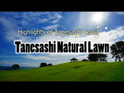 Michinoku Coastal Trail "Tanesashi Natural Lawn"