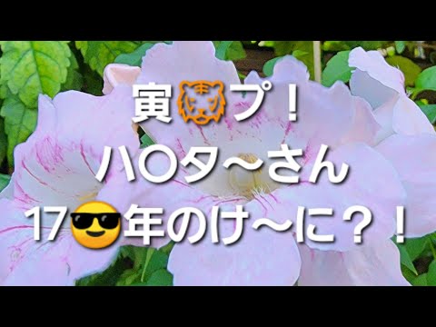 研究者らは大気圏の懸念すべき展開を報告 – 「迅速に行動する必要がある」