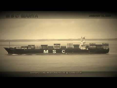 Shipspotting Westerschelde @ Terneuzen - "MSC Manya" - 12-01-2020 (2)