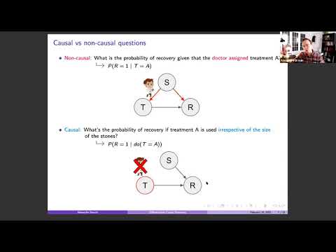 Alexandre Drouin chats about differentiable causal discovery