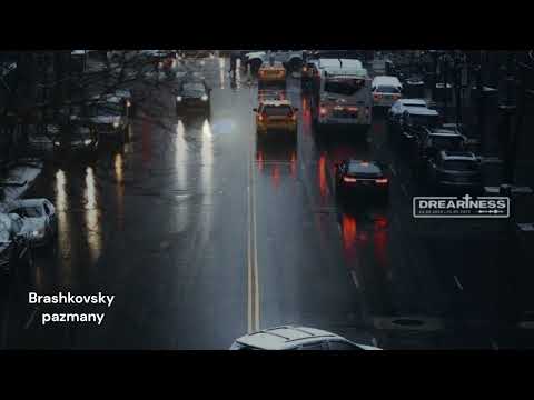 Brashkovsky - pazmany