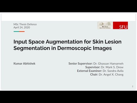 Input Space Augmentation for Skin Lesion Segmentation in Dermoscopic Images