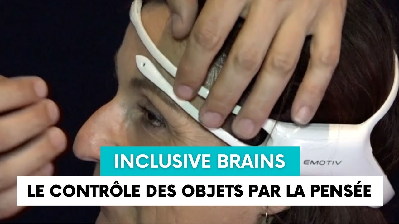 Inclusive brains