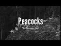 "Peacocks" - The Mountain Goats (Tradução)
