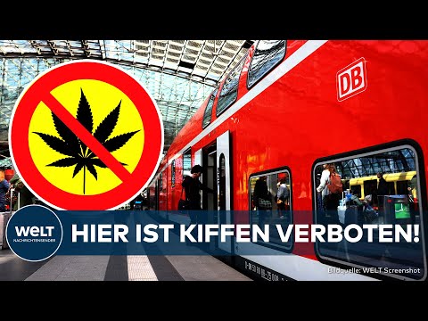 CANNABIS LEGALISIERUNG: Bahn bremst Kiffer aus! | Strenges Gras-Verbot an allen Bahnhöfen!