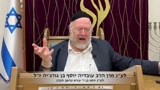 הרב ברוך רוזנבלום - פרשת נח - תשפד (קהילת אבני החושן) - התמונה מוצגת ישירות מתוך אתר האינטרנט יוטיוב. זכויות היוצרים בתמונה שייכות ליוצרה. קישור קרדיט למקור התוכן נמצא בתוך דף הסרטון