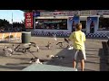 Seagulls Eating Fries