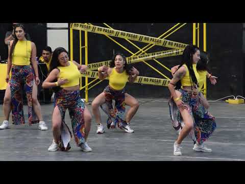 Afro Fusión - Muestra Anual LVE 2019