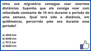 Uma Ave Migratória Consegue Voar Enormes Distâncias Suponha Que Ela