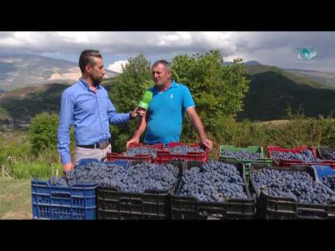 Ne Shtepine Tone, 13 Tetor 2017, Pjesa 4 - Promovim - Tradita e rrushit në Therepel