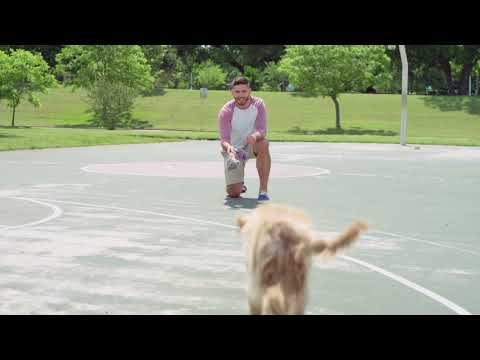 Allstate - Customer Success Story