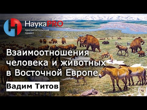 , title : 'Взаимоотношения человека и животных в Восточной Европе – палеонтолог Вадим Титов | Научпоп