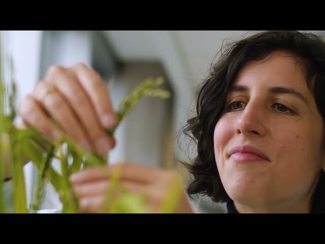 Les visages de la recherche: Zoé Joly-Lopez