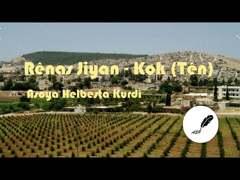 Rênas Jiyan - Kok (Tên) (Deng: Roza O.) #Efrîn