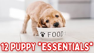 All the things your puppy NEEDS!