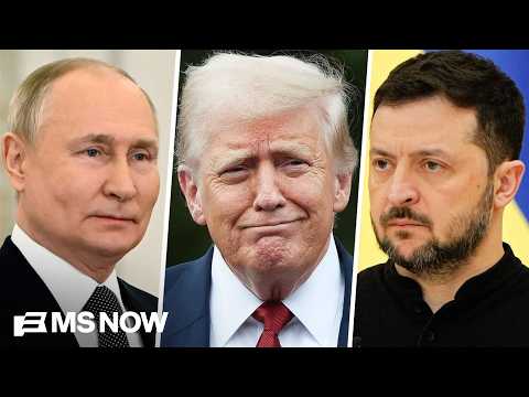 'Never met a dictator he didn't love': Commentator slams Trump as 'raging narcissist'