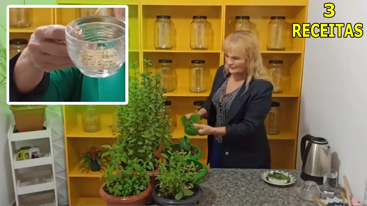 Acaba com Dor nas Pernas, na Coluna, Má Circulação e Limpa o Sangue #Remédio 💖 MARILENE SARAH FIALHO