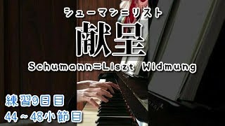 Download lagu 【ピアノ】練習9日目 シューマン=リスト 「献呈」Schumann=Liszt Widmung【独学で挑戦】 mp3 Download lagu 【ピアノ】練習9日目 シューマン=リスト 「献呈」Schumann=Liszt Widmung【独学で挑戦】 mp3