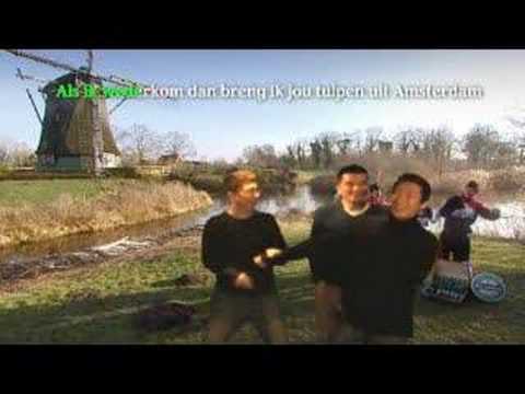 Tulips from Amsterdam