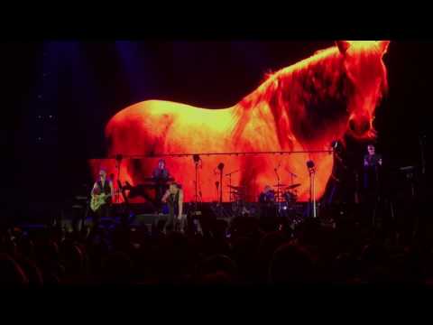 Depeche Mode -Enjoy the Silence Live in Amsterdam HD