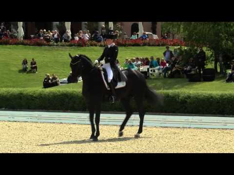 Bonhomme 2015 Prf11 11 Susan Pape   Harmony's Don Noblesse