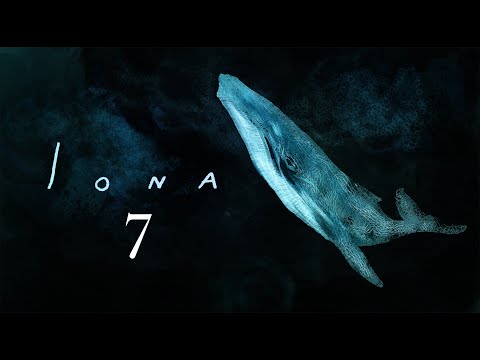 Iona | Ionel Iubas | Iona 4