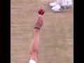 Dale Steyn Sets Up Brad Haddin With Genius Outswing Bowling Analysis
