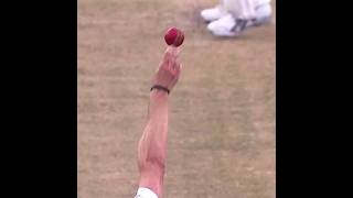 Download lagu Dale Steyn Sets Up Brad Haddin With Genius Outswing Bowling - Analysis mp3