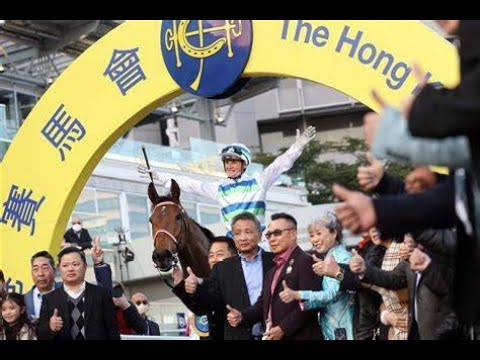 Voyage Bubble's Quest for Stewards' Cup Glory #horseracing